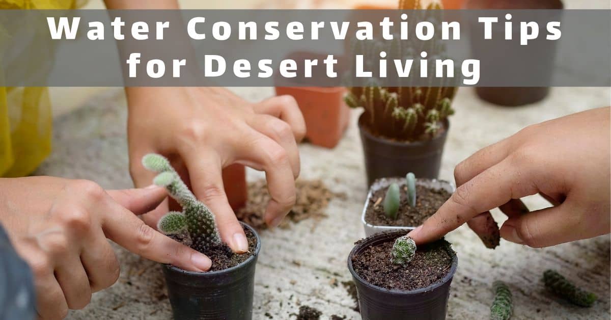 Water Conservation Tips for Desert Living