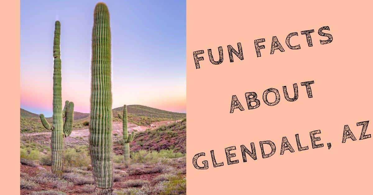 Fun Facts about Glendale, AZ