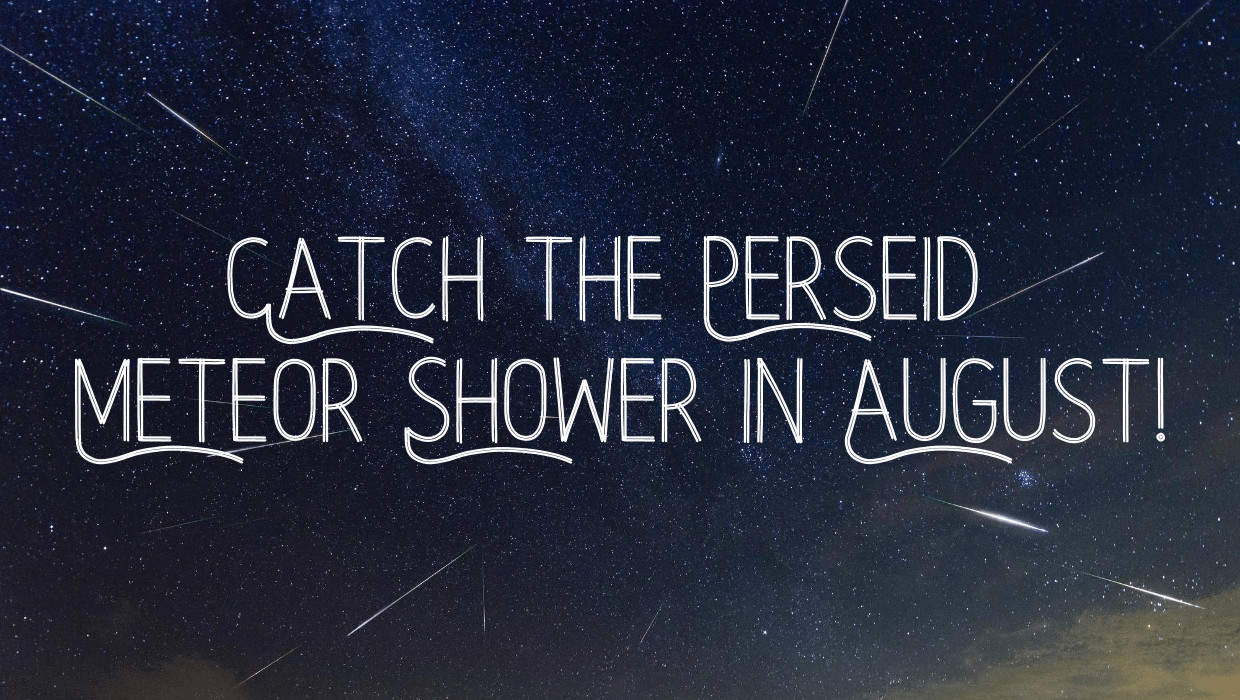 Catch the Perseid Meteor Shower in August!