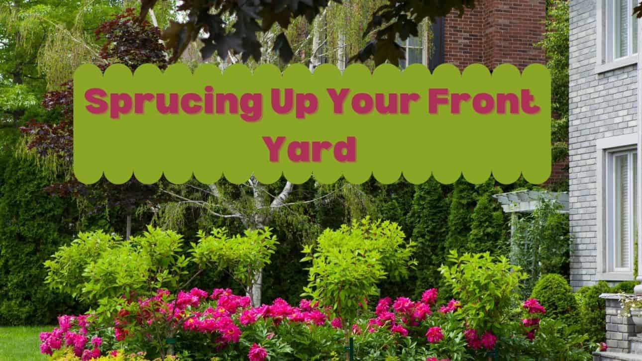 Sprucing Up Your Front Yard