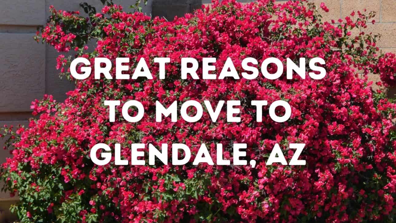 Great Reasons to Move to Glendale, AZ