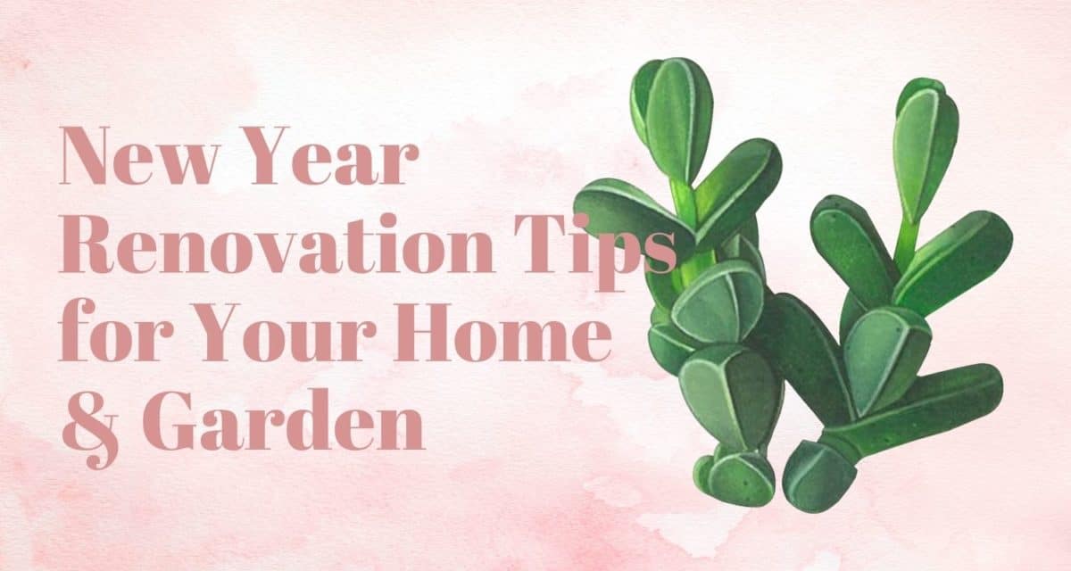 New Year Renovation Tips for Your Home & Garden