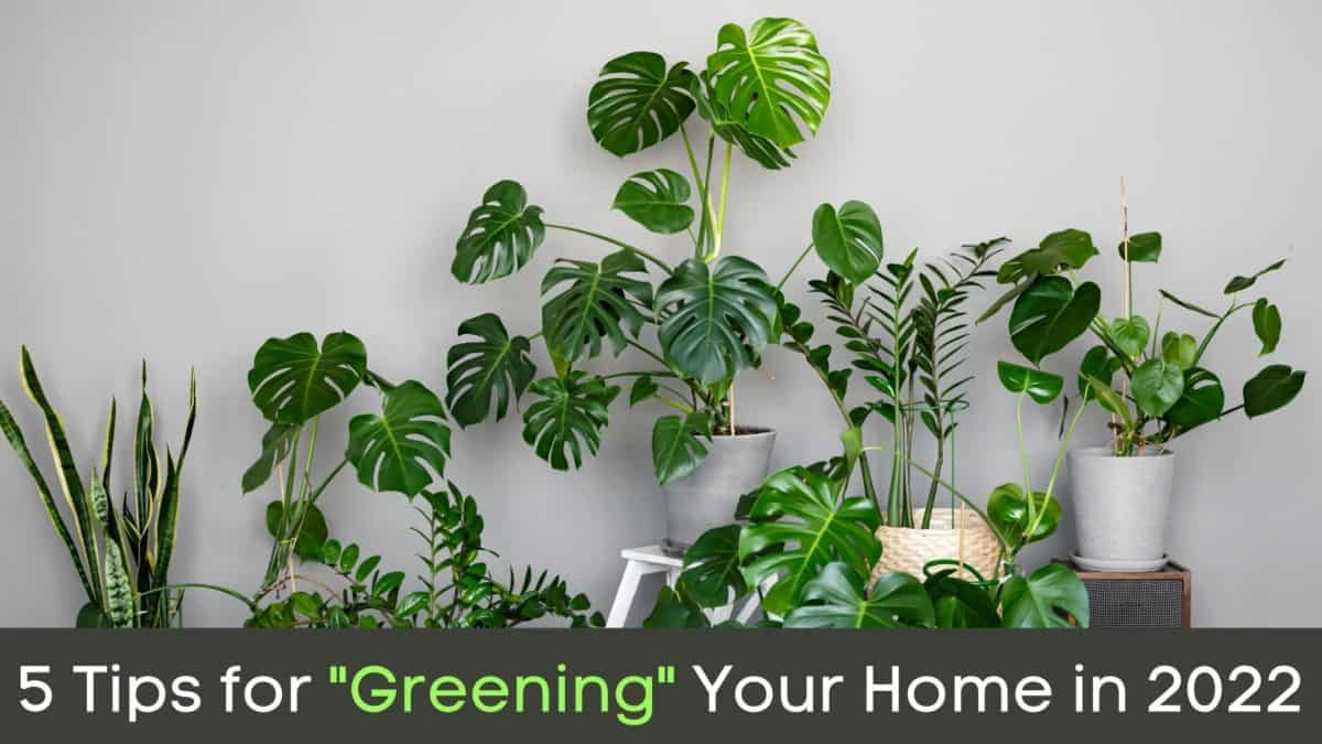 5 Tips for "Greening" Your Home in 2022